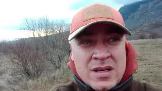 Вальдшнеп в Крыму