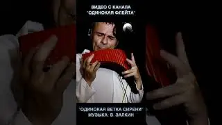 Божественная музыка! 🔥