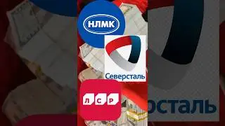 Дивиденды в 2024 году 