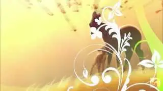 -{ Animash }-{ You're Always here }-{ 1080P }-