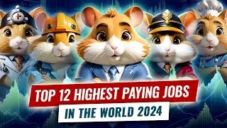 Hamster Kombat Rating: Top 12 Highest Paying Jobs In The World 2024