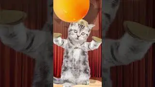 I did it!! 4 / ping pong ball song/ funny pets /funny cat animation / healing / 재미있는 고양이 애니메이션/ 힐링샵