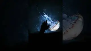 Photoshop ile fotoğraf düzenleme