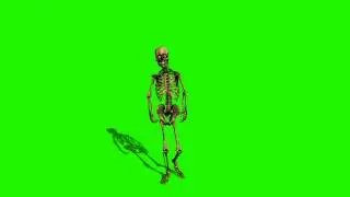 skeleton cool walk front angle in green screen