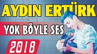 (YENİ) AYDIN ERTÜRK - AKŞAM GÜNEŞİ *2018* (Cover)