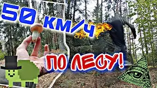 50 КМ/Ч по ЛЕСУ! жОский даунхилл ||Апасные покатушки №1. опасные покатушки велопокатушки