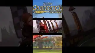 ¡Harry Potter Quidditch Champions!