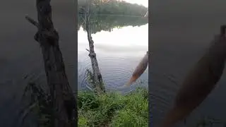 Ultralight fishing with worms