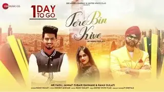 Tere Bin Kive Ravangi | Ft. Jannat Zubair Rahmani and Mr Faisal Shaikh Music Video