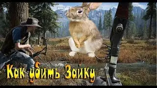 FAR CRY 5 где найти зайца