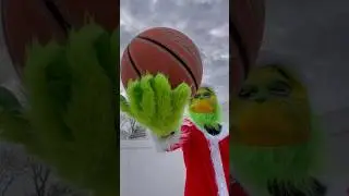 The Grinch if he Played Ball 🤣🏀 