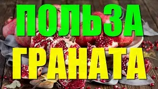 ПОЛЬЗА ГРАНАТА. 10 неожиданных причин есть гранат каждый день