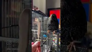 The Molt is Coming
