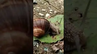 Инопланетяне среди нас! 🙈🤣👍