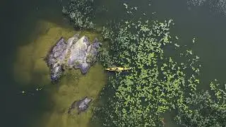 2021 Showreel