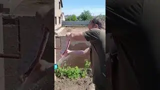 Что делаешь с мясом? Мясо мою! 😂 Что делаешь?😳 Ничего! Кости считаю! 😎