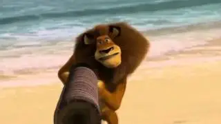 YTP - Madagascar accidents