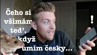 ČEHO SI VŠÍMÁM TEĎ, KDYŽ UMÍM ČESKY