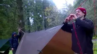 Dartmoor Camping - Into The Woods