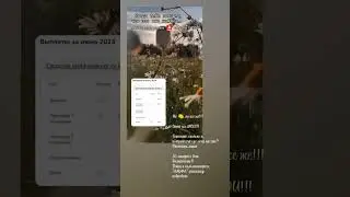Новые возможности в Альфа банке 🔥 пиши, расскажу подробнее 🤩 #колесникованаталья  #альфа