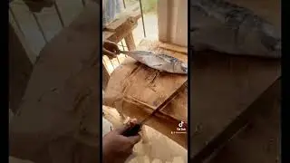 Nigeria shall be great again