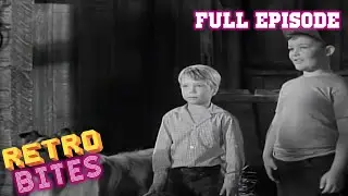The Owl | Full Episode | Lassie | Retro Bites