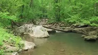 Ты моя мелодия