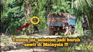 tonton dulu sebelum kerja sawit di malaysia
