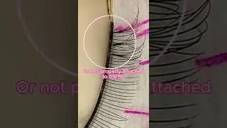 Quick Tip: Lifted Lashbase - Don't Miss This!
