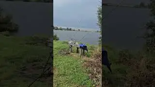 Карась говорит арестован до первого карпа)))