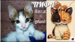 Пифагор - спустя пять дней.#(2022.)