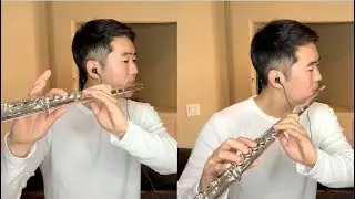 A Whole New World - Aladdin Flute Cover