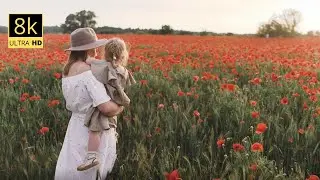 8K ULTRA HD HDR - Heaven of Earth (60 FPS)Flowers