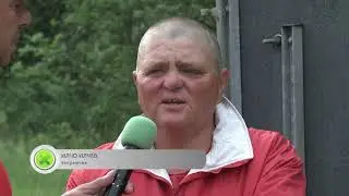 Тренировка на рисисти коне с двуколки - Войнягово