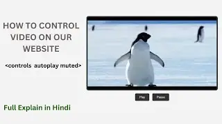 How to Add Video on Website Using Html & Css | Add Buttons in Video Using JavaScript | video tag |