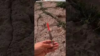 Montaje para pescar en acantilados