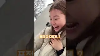 눈에 얼굴도장 찍기🤩 라임의 무모한 도전🤪 LimeTube