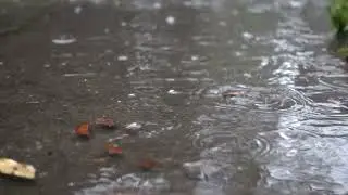 Rain