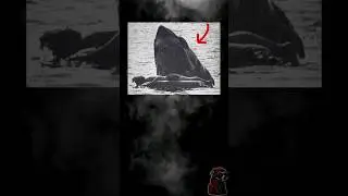 Fotografías históricas que tienes que ver prt115