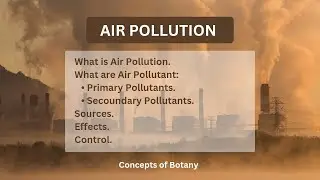 Air Pollution| Sources, Causes, Effects| Primary and Secoundary Pollutants|Hindi/Urdu #airpollution
