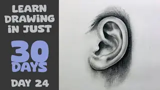 Ear Drawing Technique for Beginners | Learn Drawing in Just 30 Days - Day 24 #sketchbookbyabhishek