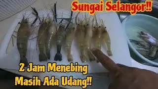 Udang Galah Sungai Selangor Tak Sombong Masih Banyak Lagi (||EP058)