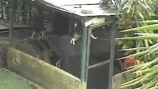 Смекалка