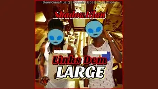 Links Dem Large (feat. Donn Gass)