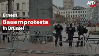 Bauern geben nicht auf: erneut Proteste in Brüssel