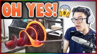 The Most Satisfying Video In The World Reaction