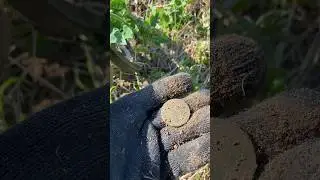 Коп  у железной дороги! ￼