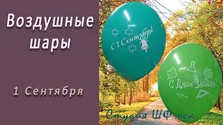 Студия НСК - Шар 14" 1 Сентября