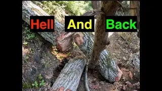 Cross Cut Saw Trail Work; Diaries from a greenhorn sawyer.  