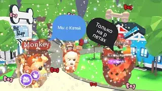 Только на р пета Челендж!